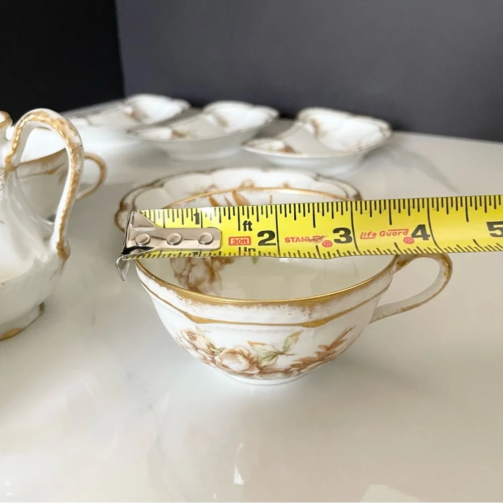 9 Piece SET - Brown Roses - Haviland Limoges